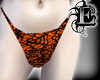 Orange Webz Bikini Brief