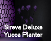 Sireva Yucca Modern