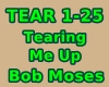 Bob Moses-Tearing Me Up