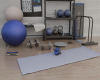 (dev)DESGN88-HIS Gym Set