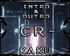 [K] INT~OUT[CR-1  -9]