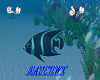 mermaid garden angelfish