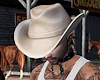 Cowboy Hat/Pale Brown