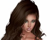Long Brown Hair #249