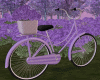 Spring Bike Pose