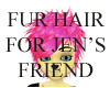 Fur Hair 4 Jen's Friend