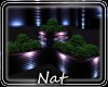 NT Wild Plant