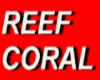 REEF CORAL LIME