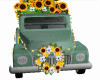 Z} Vehicles Floral