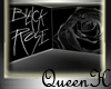 {QH} black rose!