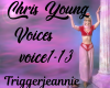 Chris Young-Voices