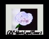 GBF~Mens Lapel Flower 2