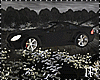 Bundle Black Car Dark