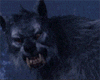 [PM]werewolf animated