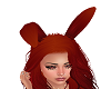 Dark Carrot Bunny Ears