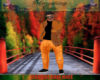 )MN(ORANGE FALL  NICE