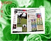Golf open Magazine 