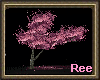 [R]VALENTINE SAKURA TREE