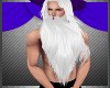 Merlins Wizzard Beard