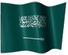 3D Saudi Animated Flag