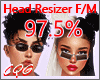 CG: Head Scaler 97.5%