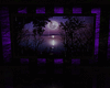 MVS*Purple Room*