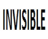 MrInvisible