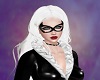 MCU : BlackCat  2