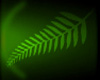 NZ Green Fern Nails