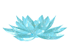 lotus turquoise