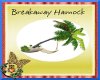 ~CD~ Breakaway Hamock