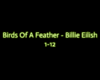 BirdsOfAFeather - BE