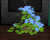 Blue Baseket of flowers