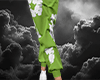 DNM TRS Green Pants