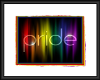 [LM]Pride Art Framed