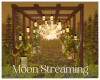 Moon Streaming