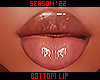  . Bottom Lip 16