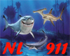 [NL911]SHARK TRAMPOLIN