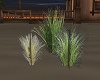 Grass Selection