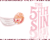 S. Fork + Donut