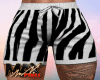 Short Zebra