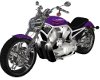 Purple Scull Harley