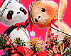 Xmas Teddy Bear Accessor