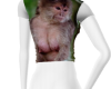 Sexy Monkey