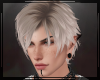 + Shiro Platinum