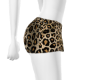 cheeta