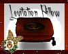 ~HW~Levitation Pillow