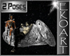 [E] 2 poses asteroid