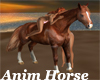 MR My Horse Salamar ANIM