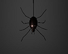 *N* Creepy Spider